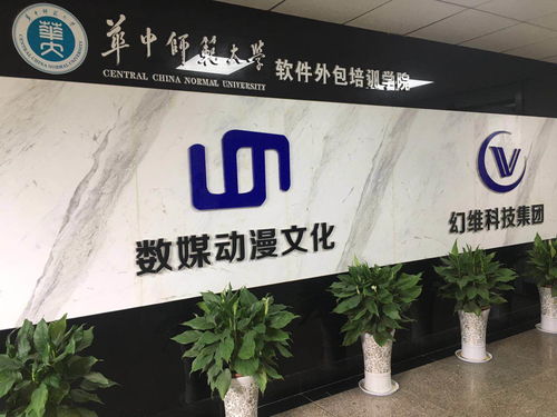 華中師范大學軟件外包培訓學院 引領武漢高端職業教育的典范